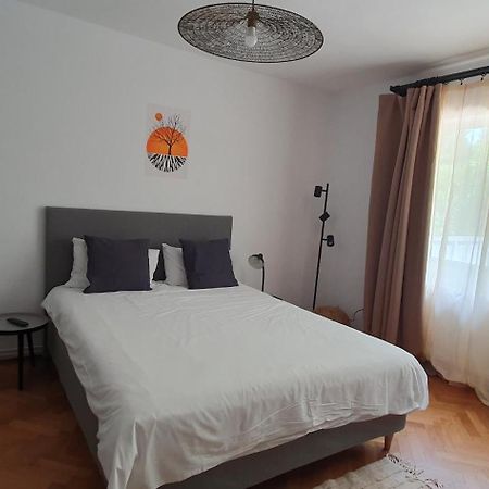 The Pines Serviced Apartments Braşov Dış mekan fotoğraf
