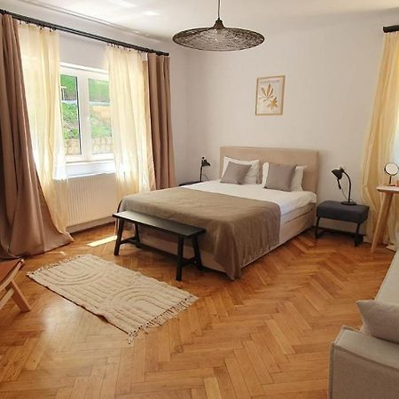 The Pines Serviced Apartments Braşov Dış mekan fotoğraf
