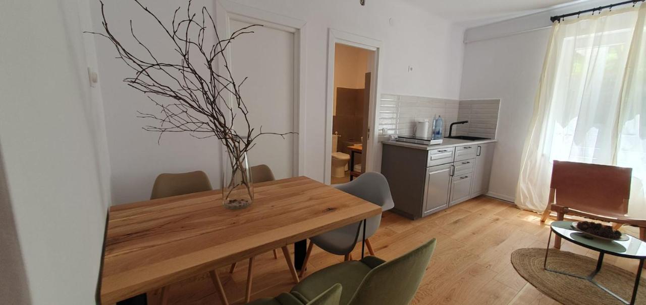 The Pines Serviced Apartments Braşov Dış mekan fotoğraf