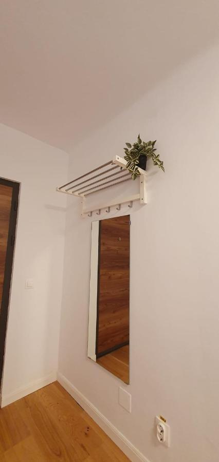 The Pines Serviced Apartments Braşov Dış mekan fotoğraf