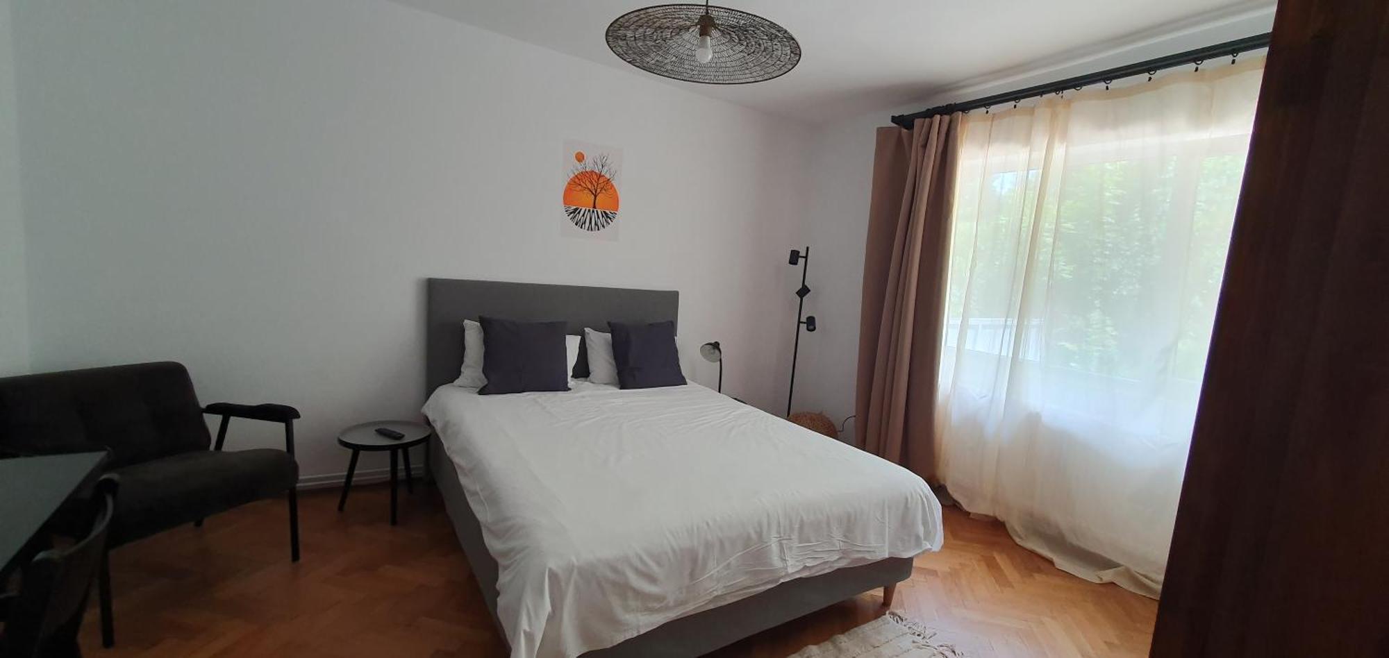 The Pines Serviced Apartments Braşov Dış mekan fotoğraf